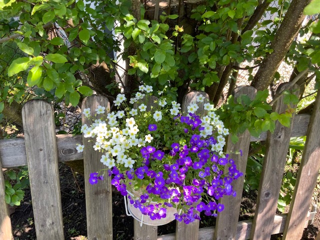 Sommerpause vorbei – hallo Herbst!